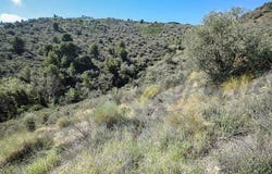 Torrox, Andalusia 29770