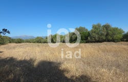 Balears (Illes), Balearic Islands 07440