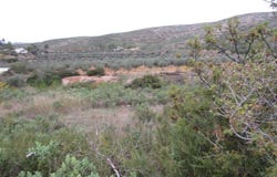 Macastre, Valencian Community