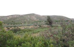 Macastre, Valencian Community