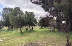 Majadahonda, Madrid 28220