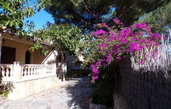 Santanyí, The Balearic Islands 07690