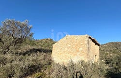 Flix, Catalonia 43750