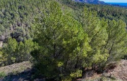 Altea, Valencia 03590