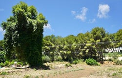 Moraira, Valencia 03724