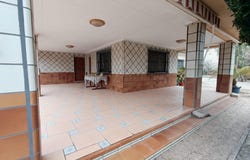 Elche, Valencia 03205