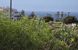 Golf Del Sur, Canary Islands 38639