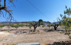Pinoso, Valencia 03650