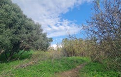 Mijas Costa, Andalusia 29649