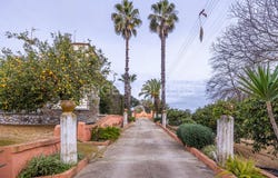 Olivares, Andalusia 41804