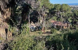 Premià de Dalt, Catalonia 08338
