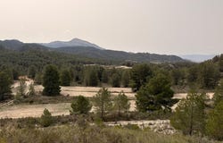 Petrer, Valencia 03610