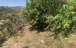 Comares, Andalusia 29195