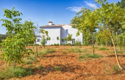 Ronda, Andalusia 29400