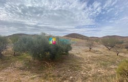 Arboleas, Andalusia 04660