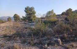 Monóvar/Monòver, Valencian Community