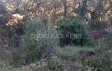 Cerdanyola del Vallès, Catalonia 08193