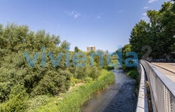 Casa de Campo, Community of Madrid 28008