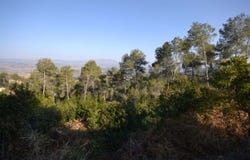 Gelida, Catalonia