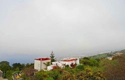 Icod de los Vinos, Canary Islands