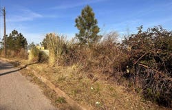 Maçanet de la Selva, Catalonia