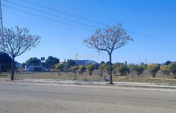 Torrent, Valencian Community