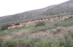 Macastre, Valencian Community