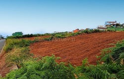 Realejos (Los), Canary Islands