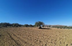 Alhaurin El Grande, Malaga 29120