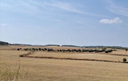 Valdemoro, Community of Madrid