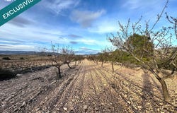 Monovar, Valencian Community 03640