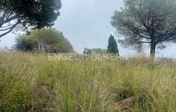 Sant Vicenç de Montalt, Catalonia 08394
