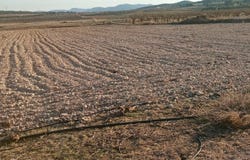 Salinas, Valencia 03130