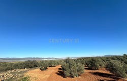 Fuente de Piedra, Andalusia