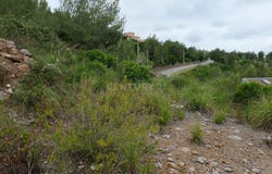 Olivella, Catalonia