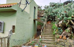 Santa María de Guía de Gran Canaria, Canary Islands 35457