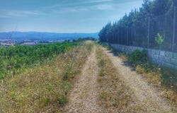 Roquetes, Catalonia 43520
