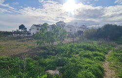 Mijas Costa, Andalusia 29649