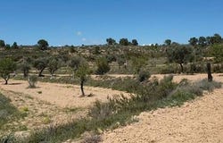 Rbla. Arbolitos, Fabara, Aragon 50793