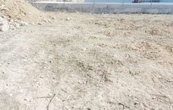 Calpe, Alicante/alacant 03710
