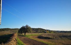 Olivenza, Extremadura