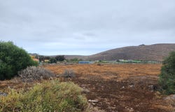 Ingenio, Canary Islands 35250