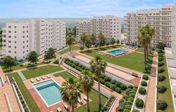 San Miguel de Salinas, Alicante, Valencian Community 03193
