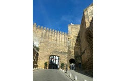 Carmona, Andalusia 41410