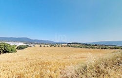 Tarragona, Catalonia 43423