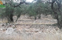 Finca San Roque, 1, El Pinar, Andalusia 18658