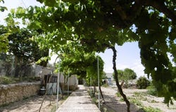 Yecla, Murcia 30510