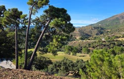 Benahavis, Andalusia 29678