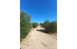 Tarragona, Catalonia 43748