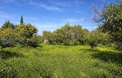 Benimeli, Valencian Community 03769